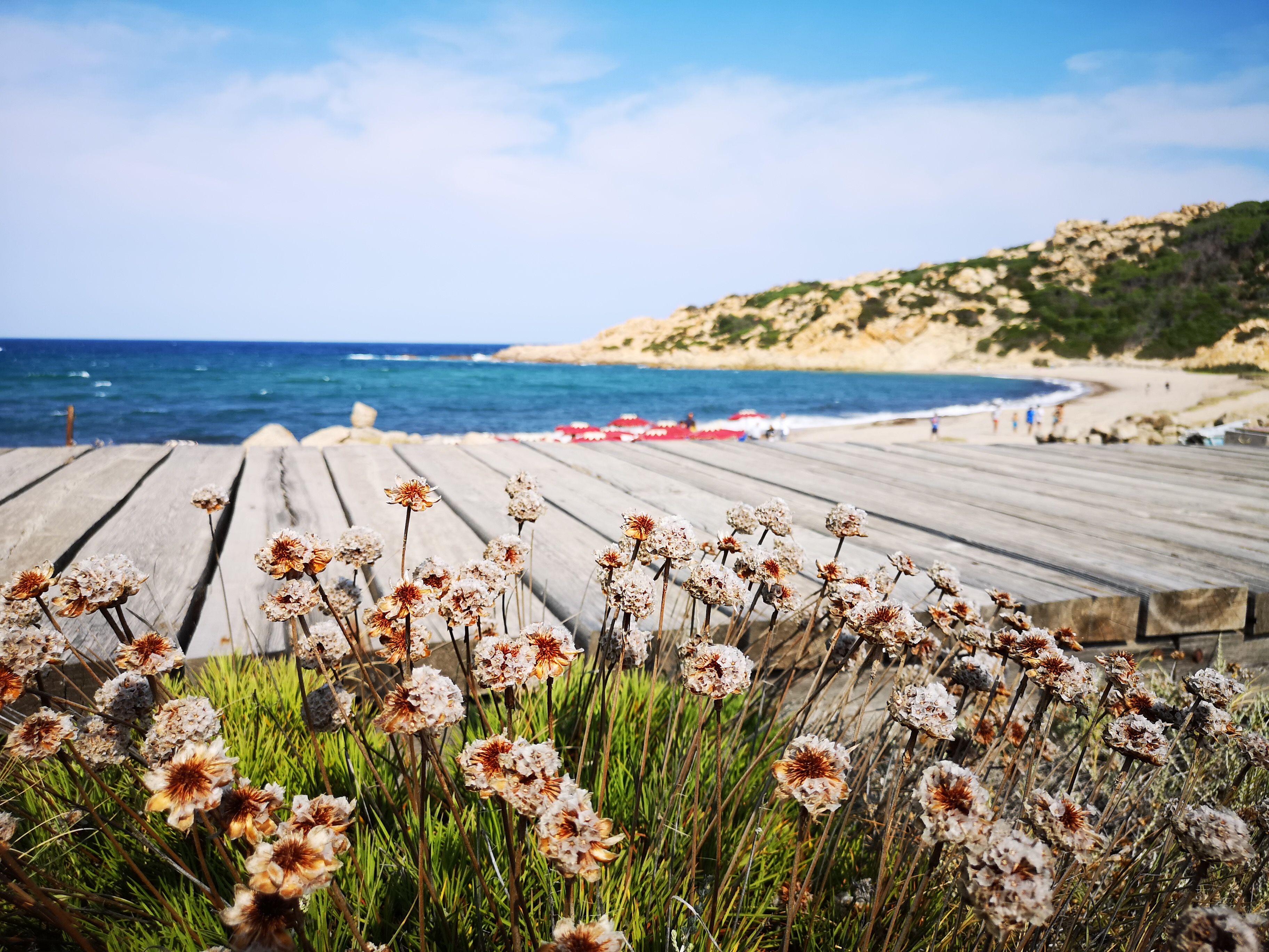 Club Esse Gallura 阿列恩图 外观 照片